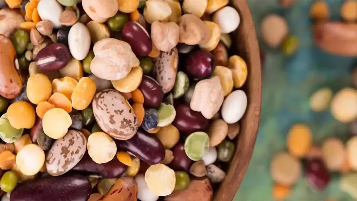 Lectines et Anti-Nutriments : Faut-il Vraiment S’en Méfier ? Analyse Scientifique Complète