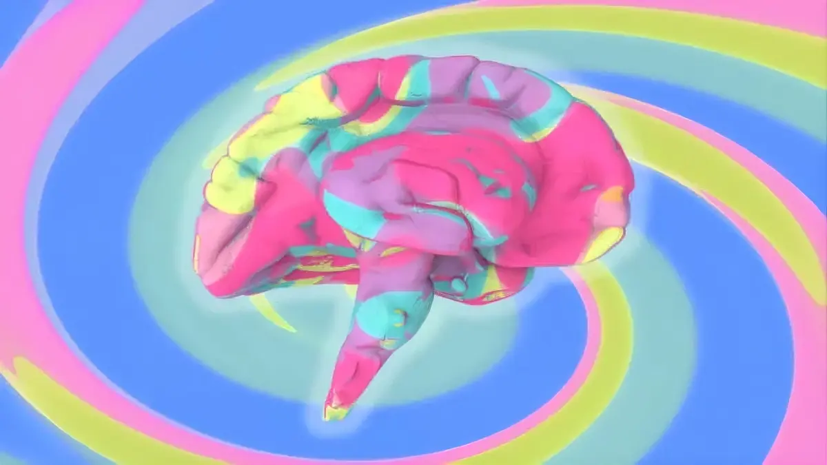 Hero Image for article Neuroplasticité Après 40 ans : Ce Qui Fonctionne Vraiment