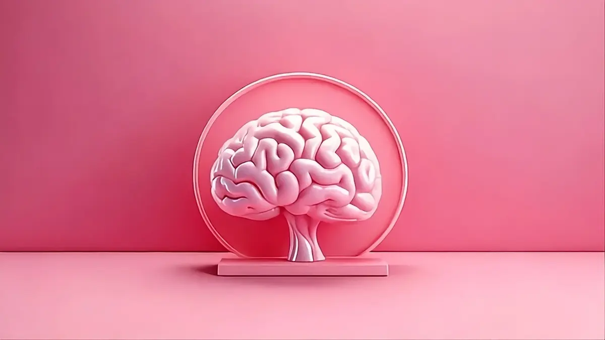 Hero Image for article Neuroplasticité Adulte Accélérée : Méthodes Validées Scientifiquement en 2026